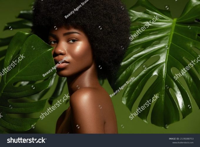 stock-photo-beauty-portrait-young-african-american-woman-posing-agaings-tropical-green-leaf-natural-cosmetics-2139288753